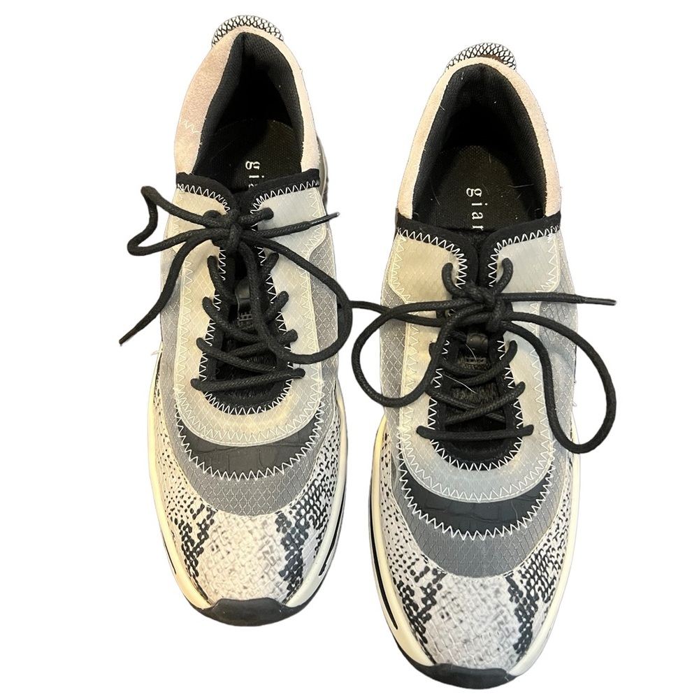 Gianni Bonilla Malloy snake print lace up wedge sneakers